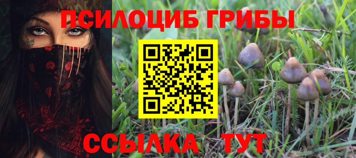 Псилоцибиновые грибы Cubensis  Вход с VPN  Ухта 