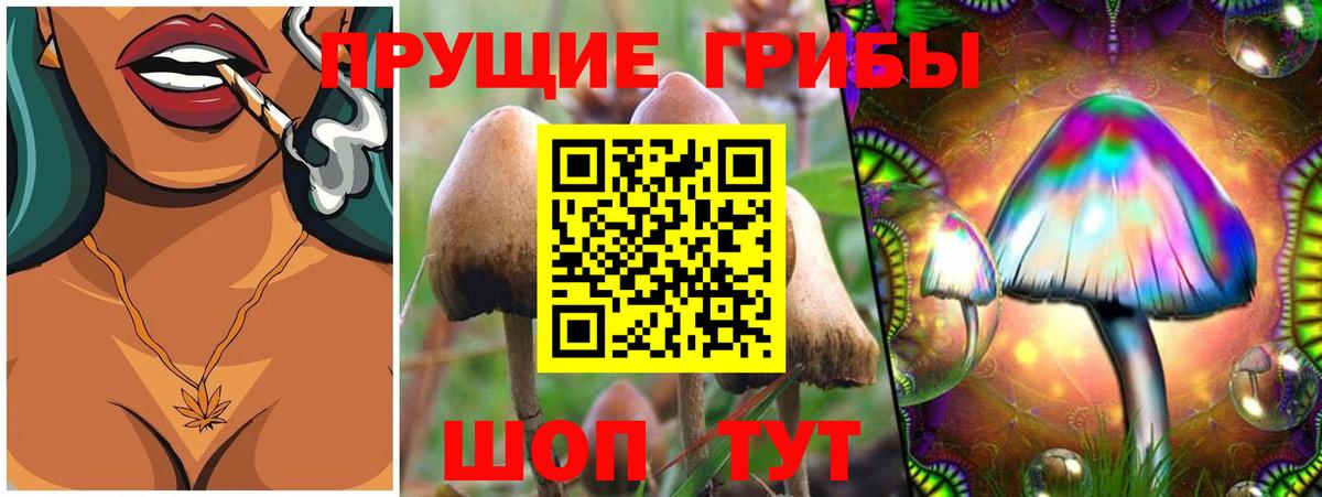 Галлюциногенные грибы Cubensis Ухта